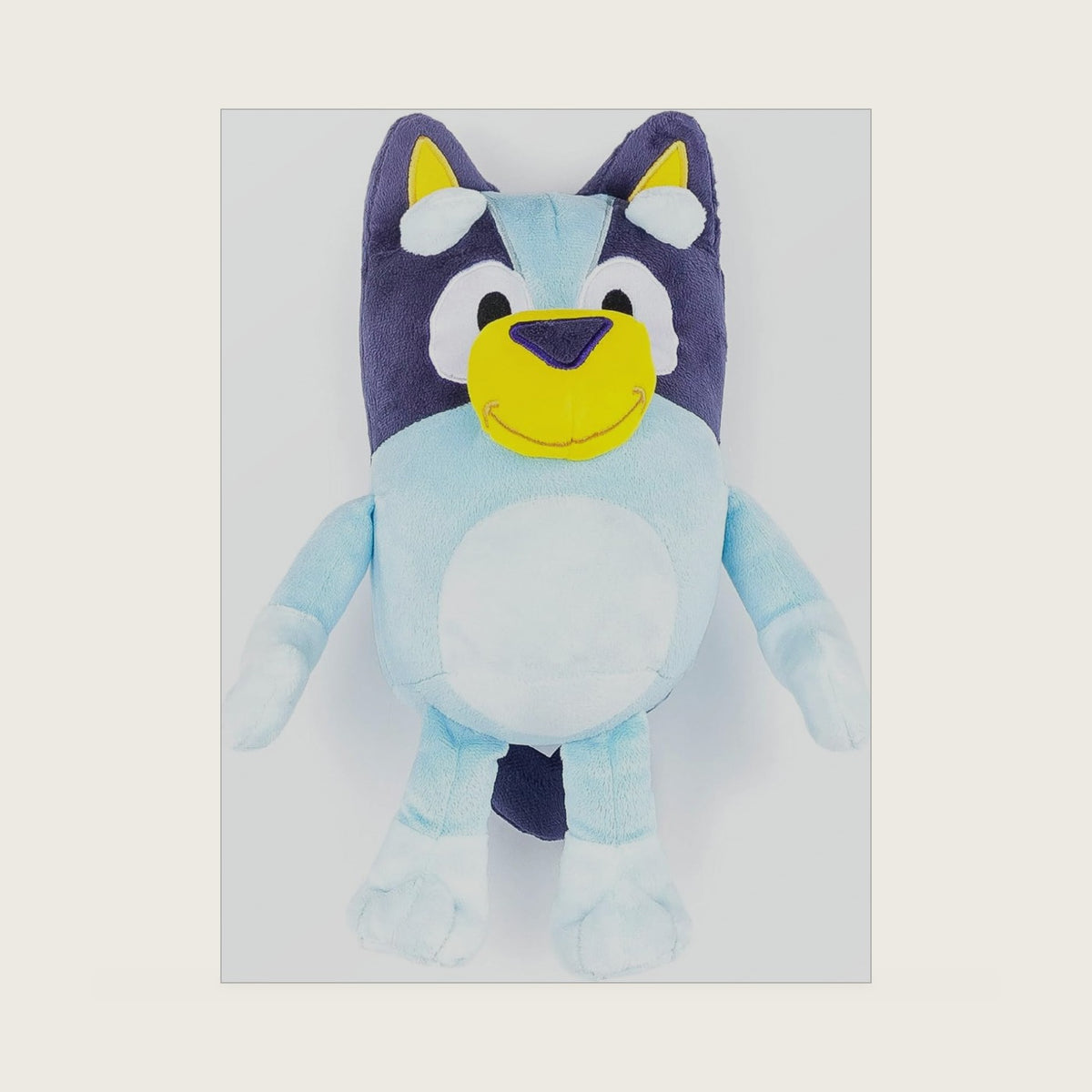 Bluey Cartoon Kids Mini Plush Pillow Buddy, Blue
