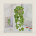 Kogyxe Crochet Kit for Beginners Crochet Hanging Plant with Tutorials