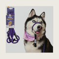 The Sidekick, Reg 3/8" Colors: Purple