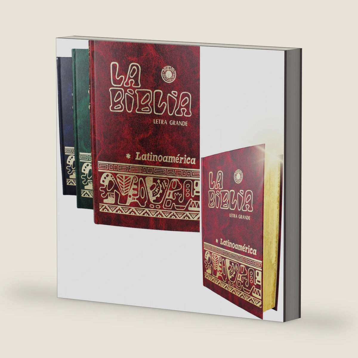 la Biblia latinoamericana letra grande 1 pc - Biblia latinoamericana catolica - Biblia catolica en español letra grande - biblia en español letra ... in spanish biblia catolica latinoamericana