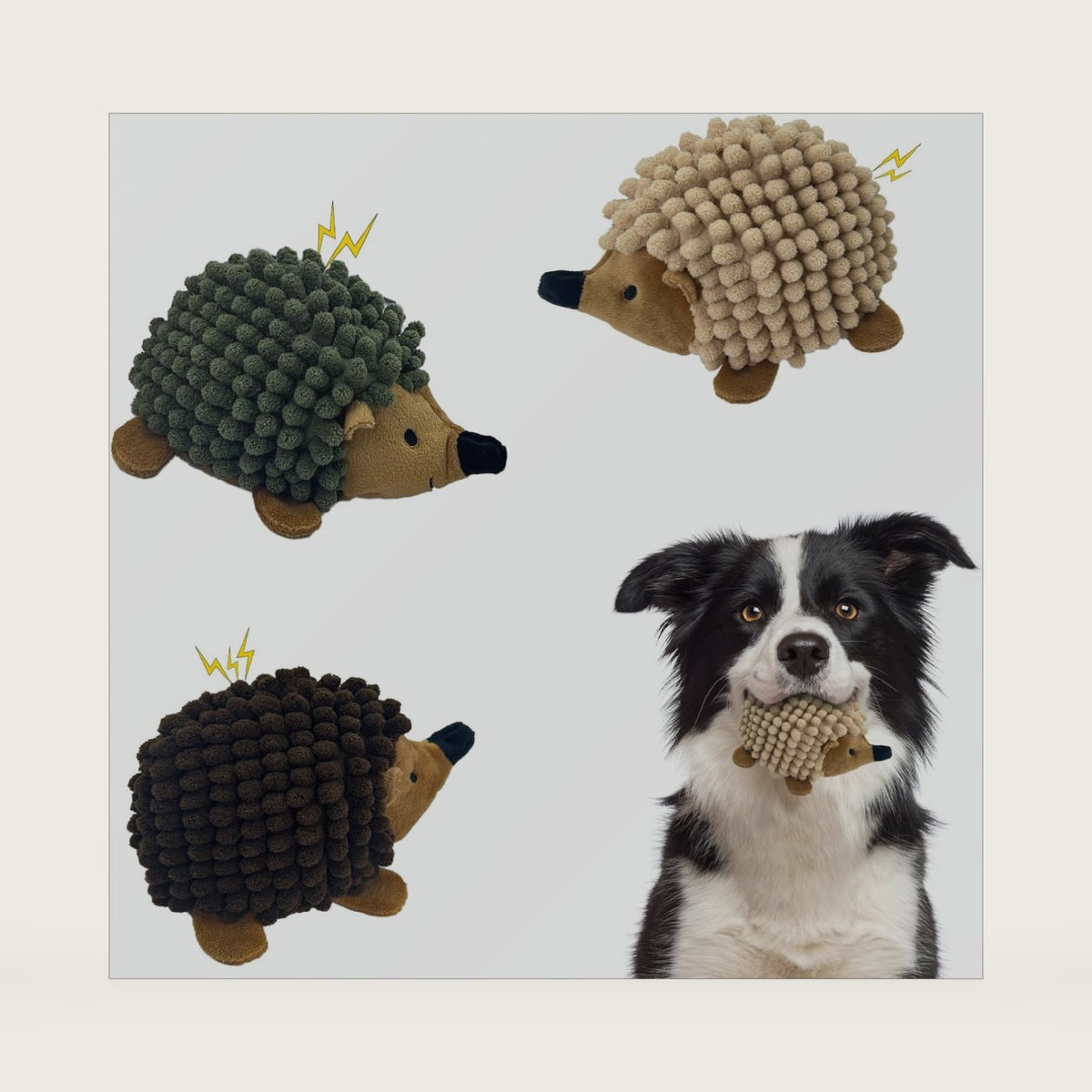 2-in-1 No-Stuffing Hedgehog Dog Toys 3 PCS, Squeaky Ball for Throwing Play