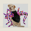 Halloween Spider Dog Costume with 64 Led for Medium Large Dog Pet Cosplay