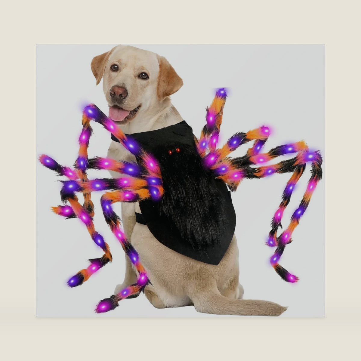 Halloween Spider Dog Costume with 64 Led for Medium Large Dog Pet Cosplay