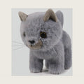 Ice King Bear Fluffy Little Cat Stuffed Animal Plush Toy 6 Inches (Gray)