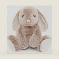 WEIGEDU Bunny Rabbit Stuffed Animals Plush Toys