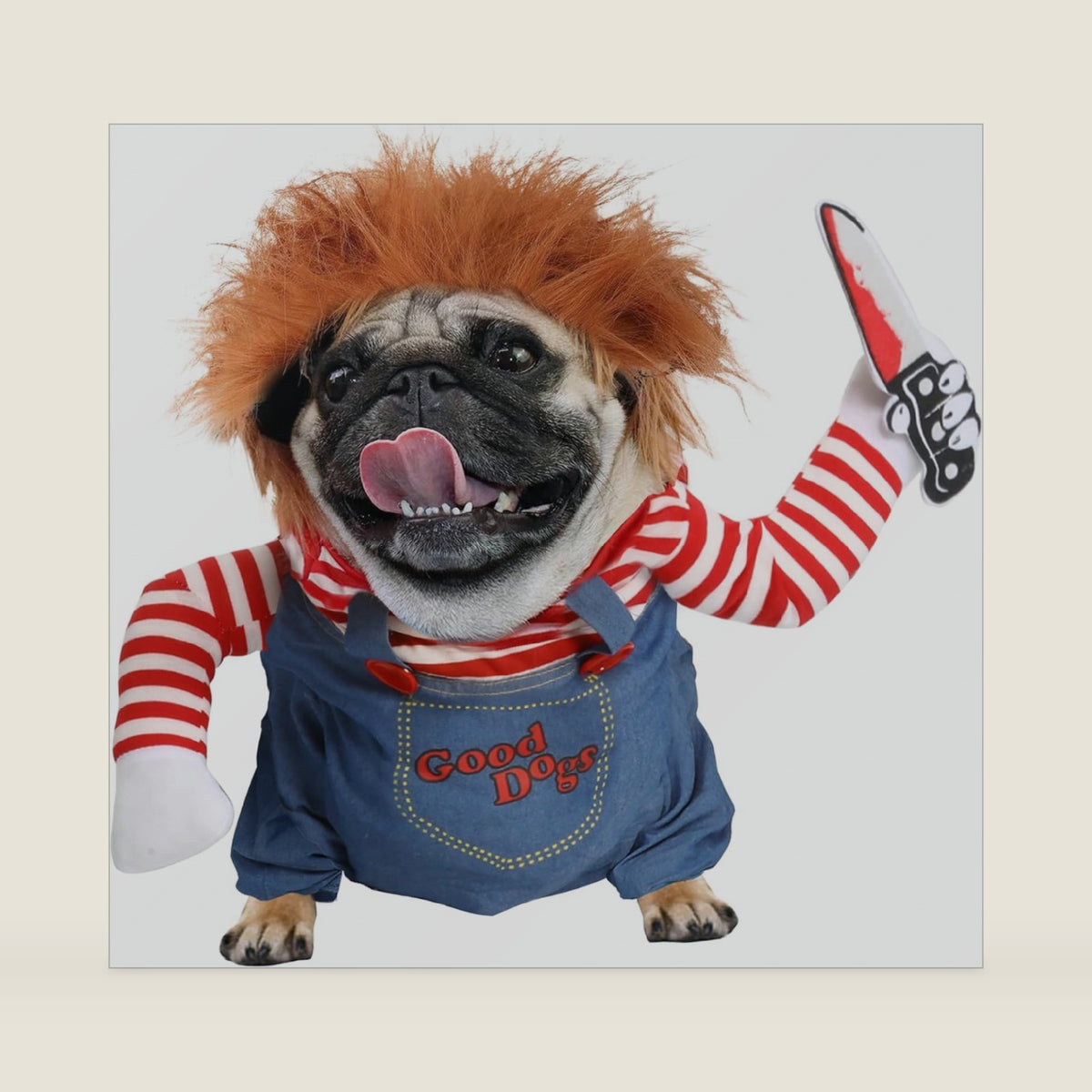 T2Y Dog Halloween Costume Pet Deadly Doll Chucky Dogs Costume with Knife & Wig, Dog Costumes for Medium Dogs Funny Party Cosplay Halloween for Corgi, Pug, Frenchie, Dachshund【M】