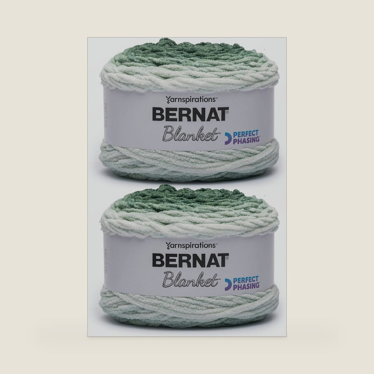 Bernat Blanket Perfect Phasing Soft Crochet Yarn, Forest 2-Pack