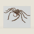 SEIS Halloween Dog Spider Costume, Funny Pet Dress Up Clothes, Brown,M