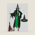 Women With Wicked Witch Hat Halloween Costume For Adult Witch dress Full