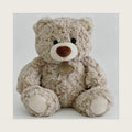10Inch Teddy Bear Stuffed Animal, Soft Stuffed Teddy Bear Plush Toy, Birthday Xmas Gifts for Kids Baby (Light Brown)