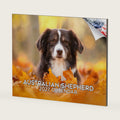 Australian Shepherd Calendar 2027-14-Month 12x9 Wall Calendar