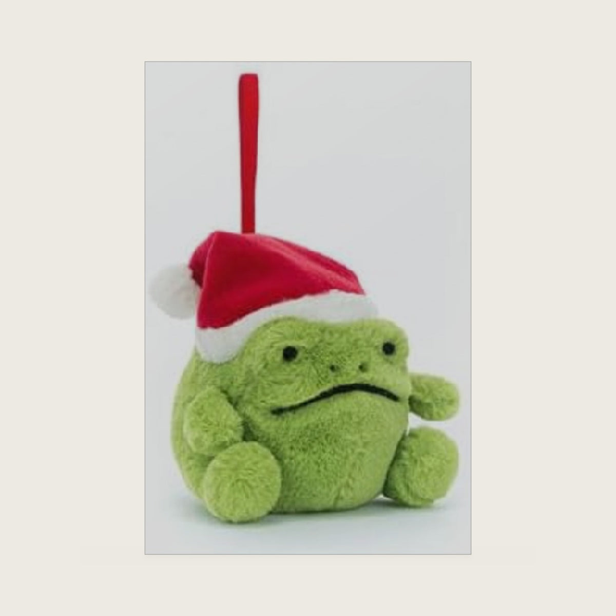 Ricky Rain Frog Decoration
