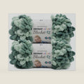 Bernat Alize Blanket-EZ Chunky Yarn Hand Knitting, Hedge Green Varg 2-Pack