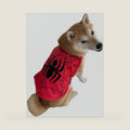 ComfyCamper Spider Web Cape for Dogs - XS Small Medium Large XXL Onesie Pet Cats Pup Cosplay Halloween Costumes, XL