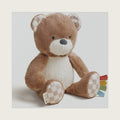 Itzy Ritzy Snuggles Plush Toy, Soft Stuffed Animal for Newborns & Up (Bear)