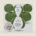 Worsted Alpaca Yarn Set, Soft 100% Baby Alpaca, 6 Skeins, 656 Yards, Middle Green
