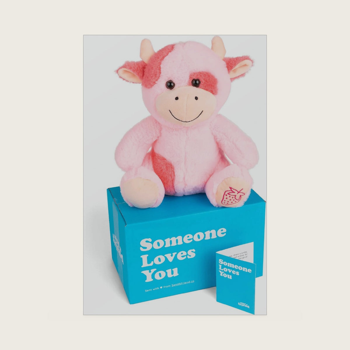 SendAFriend Sally the Strawberry Cow Care Package