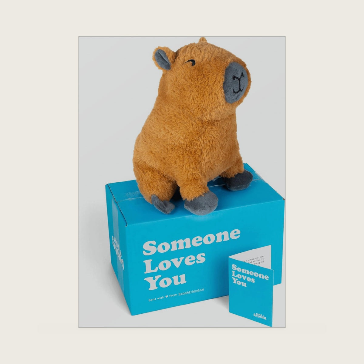 SendAFriend Crouton the Capybara Care Package