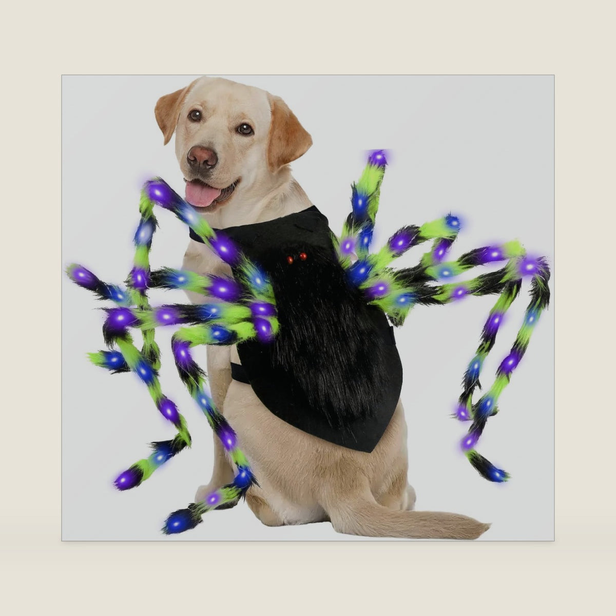 Halloween Spider Dog Costume with 64 Led for Medium Large Dog Pet Cosplay