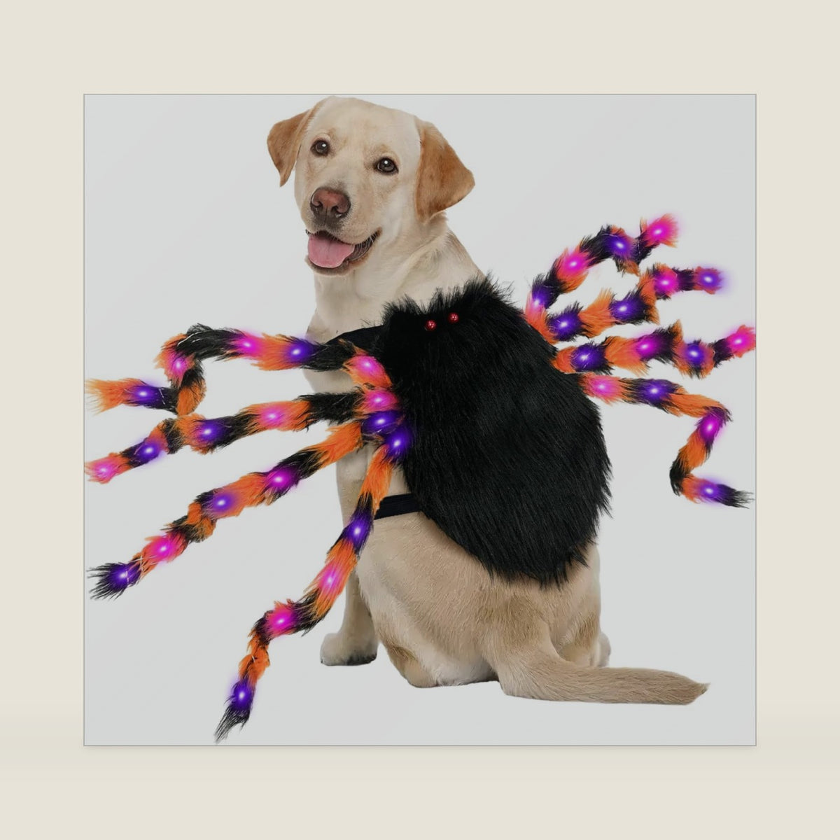 OurWarm Dog Halloween Costumes Adjustable LED Spider Costume for Large Dogs