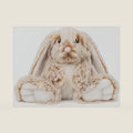 Bunny Microwavable & Weighted Stuffed Animals - 1.5 Lbs Unscented Heating Pad for Period Cramps Pain Relief and Anxiety, Cute Bunny Plush Toys Gifts for Women Girls Adults and Kids by Happy Fuel