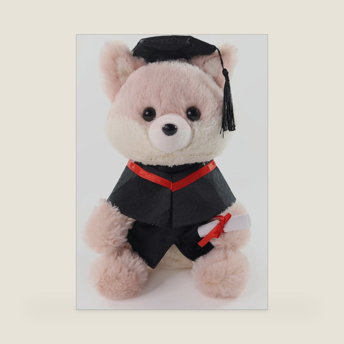 Graduation Gifts Fox Stuffed Animal - 10" Cute Fox Plush Toy with Graduation Cap, Gown & Diploma, Inspirational Keepsake for Elementary, High School & College Graduates