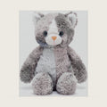 Ditucu Cat Stuffed Animal 9 inch Cute Realistic Kitten Plush Toys Ultra Soft Plushies Gifts for Kids Grey