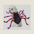 Halloween Spider Costume for Small Dog - Glowing Funny Cats Pet Costumes