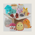 Mystery Box 5-Pack 10” Plush Bundle – Official 2026 Collectible Stuffed Animals – Surprise Squishy Toy Set – Gift for Kids Girls Boys, Birthday & Holiday Bundle