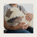 Avatar: The Last Airbender Sleeping Appa - 18-Inch Plush with Special Embroidery