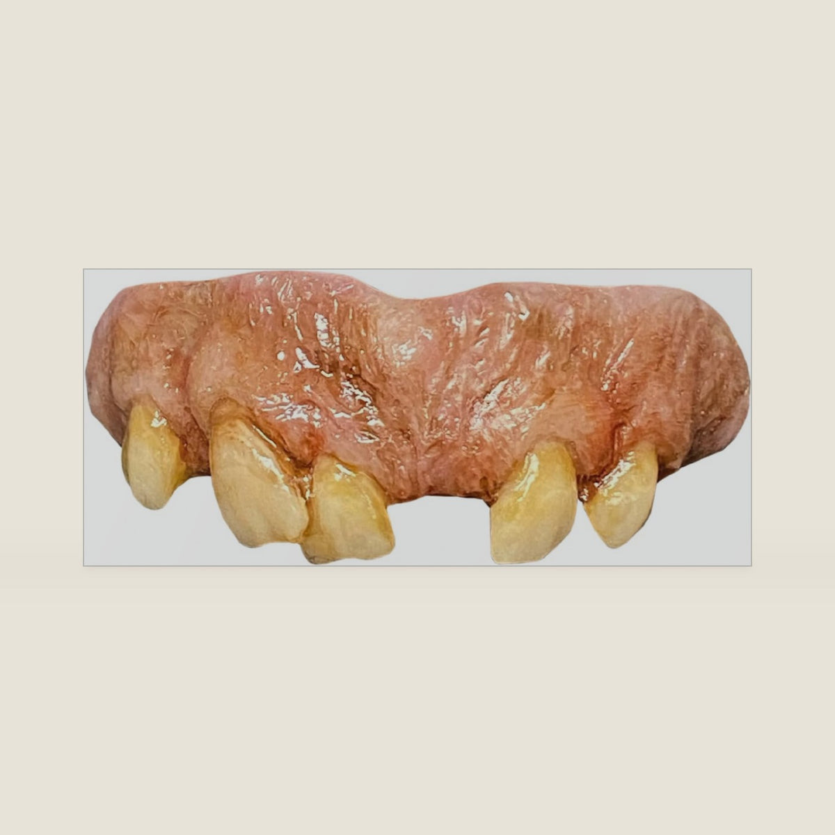 Leatherface Teeth from Texas Chainsaw Massacre 2