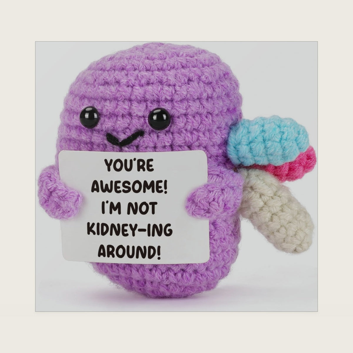 Nurse Gifts for Women, Handmade Crochet Kidney Plush with Funny “You’re Awesome” Sign, Birthday Appreciation Gift for Friend Bestie Coworker, Mother Gifts for Nurse Mom