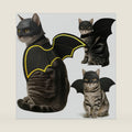 Halloween Cat Bat Wings with Mask Costume