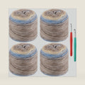 WSICSE Fairyland Cake Yarn, 4 Skeins Gradient Yarn 100g/3.52 oz Weight #3