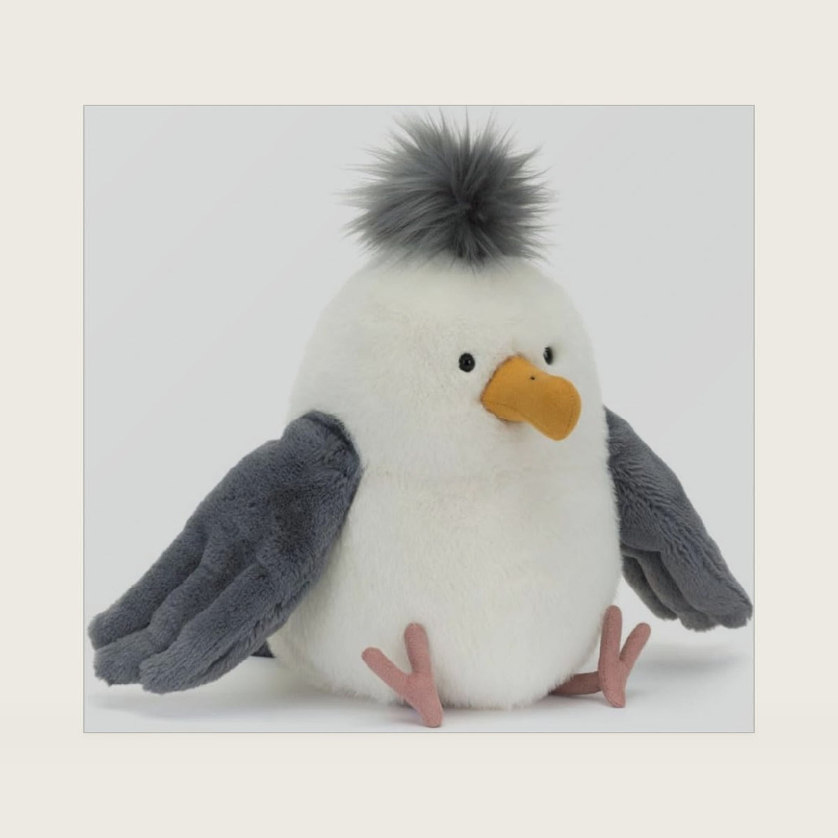 Chip Seagull