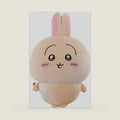 11.8 Inch Chikawa Plush, Usagi Stuffed Figure Throw Pillows for Home Decor for Cartoon Fans Adults, Cute Plush Kawaii Accessories C