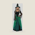GOLDSTITCH Womens Halloween Costumes Deluxe Adult Witch Dress Costumes