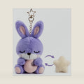 Cute Bunny Plush Keychain with Interchangeable Magnetic Charm, Bag Charm