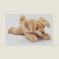 FAO Schwarz 22" Adopt-A-Pets Chiweenie Plush Dog, Kids Stuffed Animal