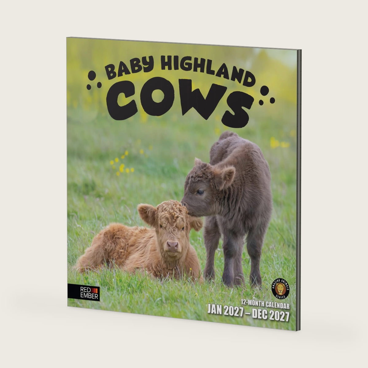 RED EMBER Baby Highland Cows 2027 Wall Calendar 12 Month | 12" x 24" Open
