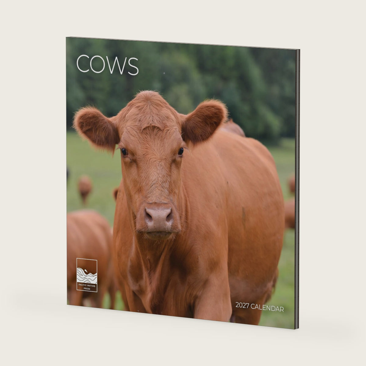Cows 2027 Wall Calendar, 12 x 24 Hanging Pacific Waters Press