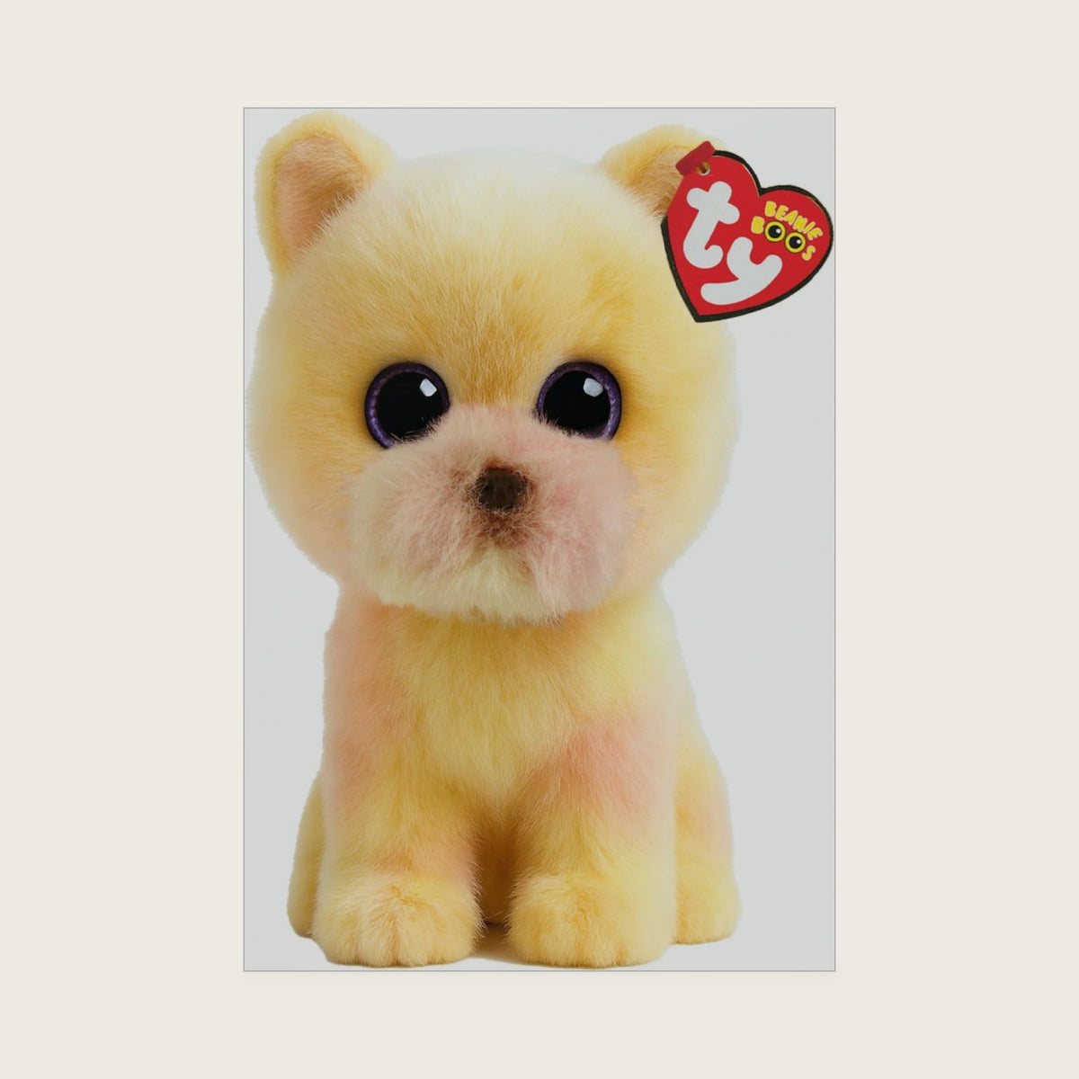 Beanie Babies Palmer the Pomeranian Dog - 6"