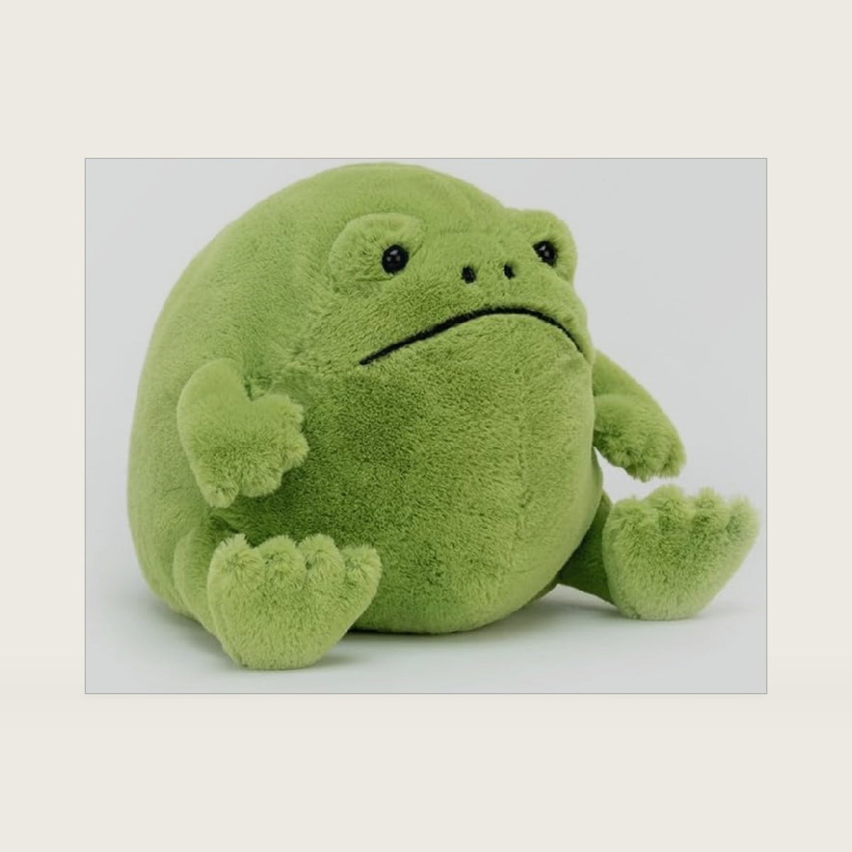 Ricky Rain Frog