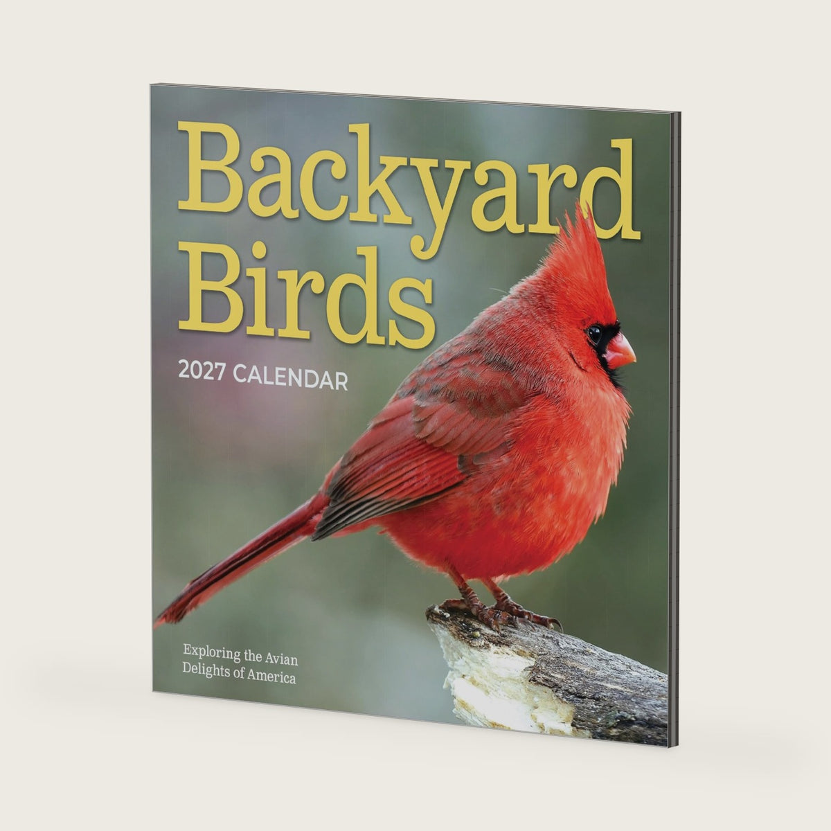TF Publishing 2027 Backyard Birds Wall Calendar - 12 x 12 inches