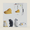Cat Blind Box, Chill Cats Series Kawaii Blind Box Mini Figurines (5 Pack)