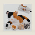 Skylety 5 Pcs Cat Stuffed Animal with Kittens Inside, Multicolor