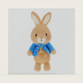 KIDS PREFERRED Beatrix Potter Peter Rabbit Plush Cuddle Pals 14 Inch - Baby's First Stuffed Animal Blankie