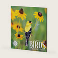 Birds 2027 Wall Calendar | Marble City Press | Plastic Free