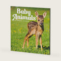 Baby Animals 2027 Wall Calendar | Marble City Press | Plastic Free
