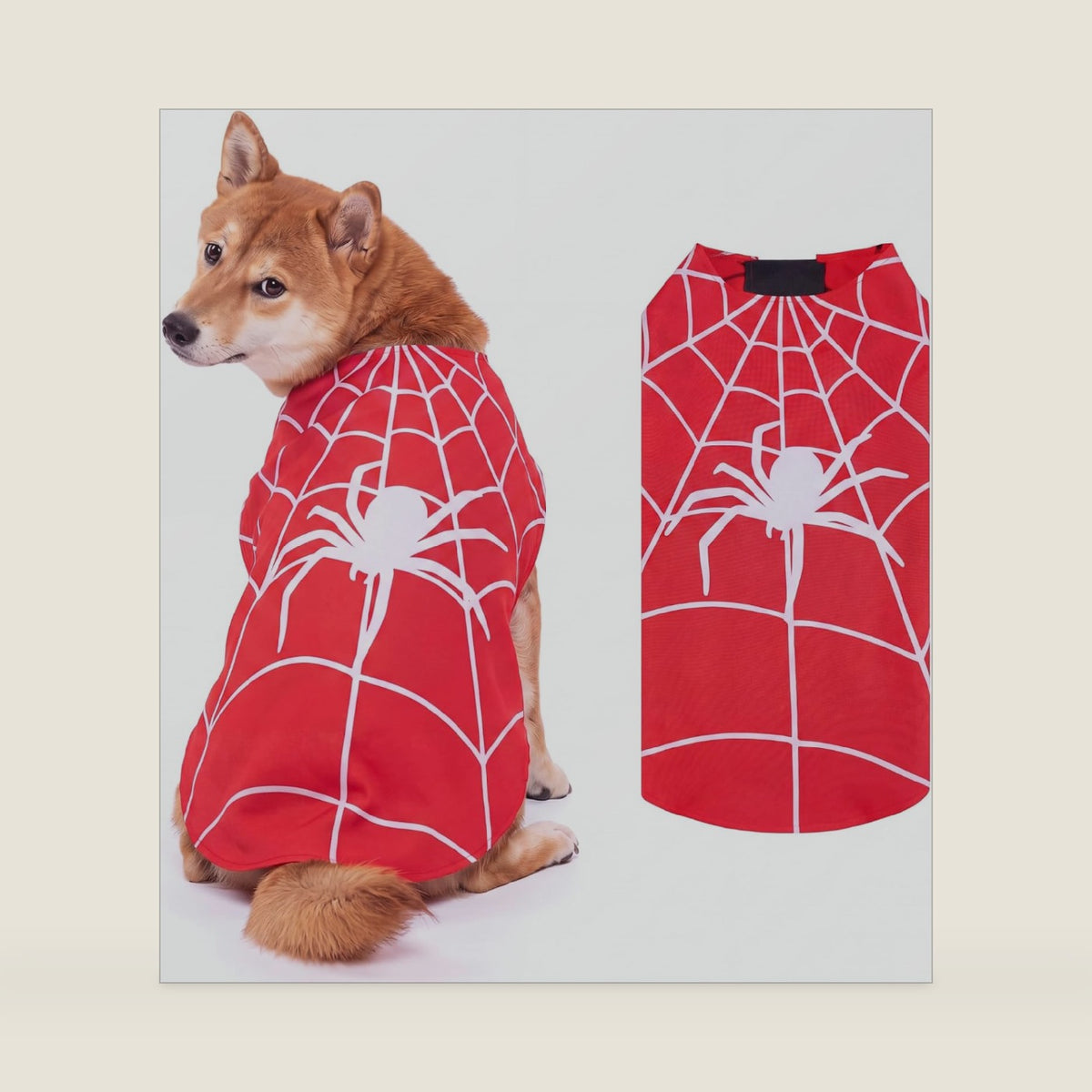 Tudomro Dog Halloween Costumes Spider Web Cape for Dogs Pet Halloween Outfit Dog Cape Costume for Large Dogs Cosplay Costumes, L